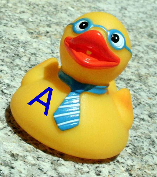 ALBERT! Albert the Duck